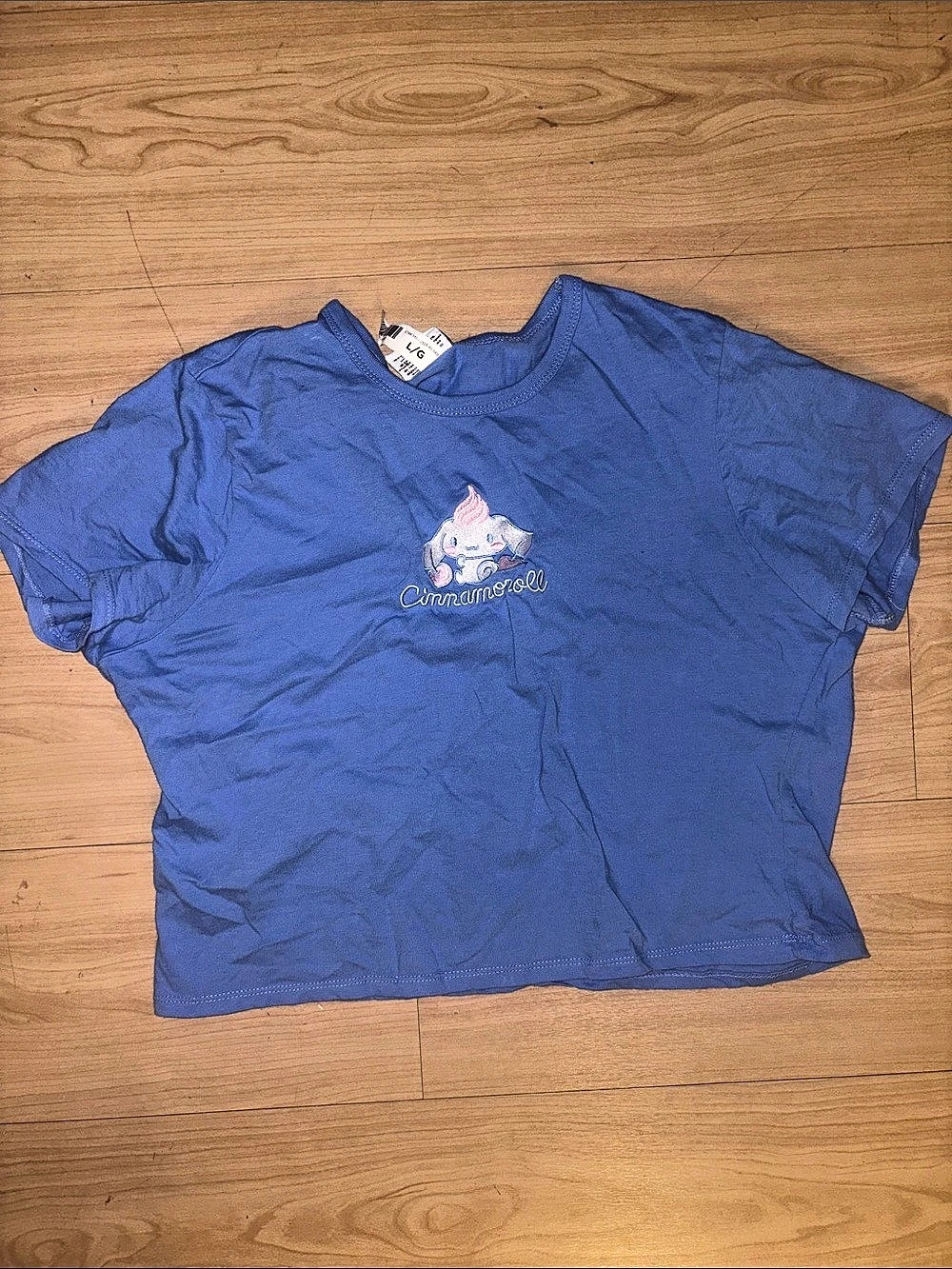 Cinnamoroll graphic tee in Blue Girls Large